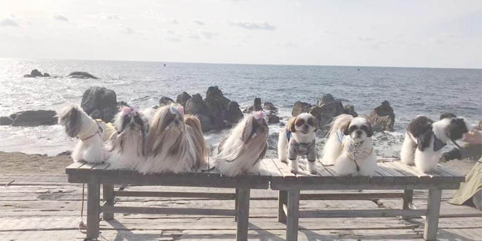 cafe Mare（福井市）